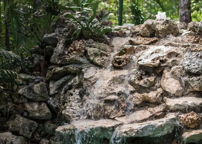 Pousada Pepem Holistic Experience - Peaceful Retreat Near (adults Only) *